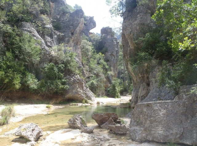  充满自然的风景 